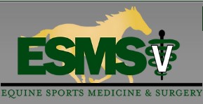 Equine Sports Medicine